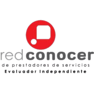 Elementos WEBSITES (82)